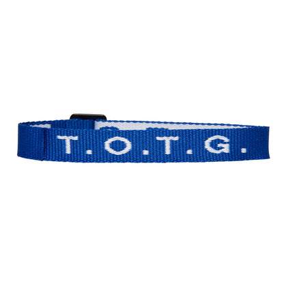 Express Pass Wristband