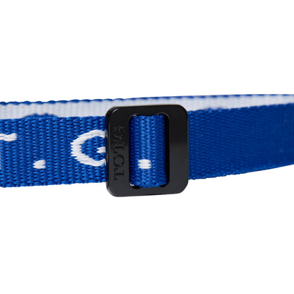 Express Pass Wristband